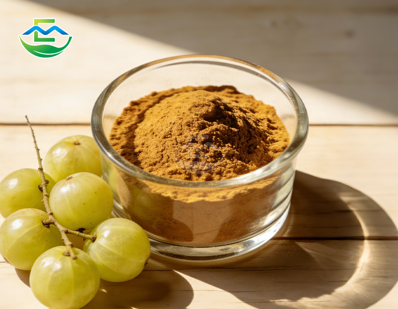 Amla Extract powder